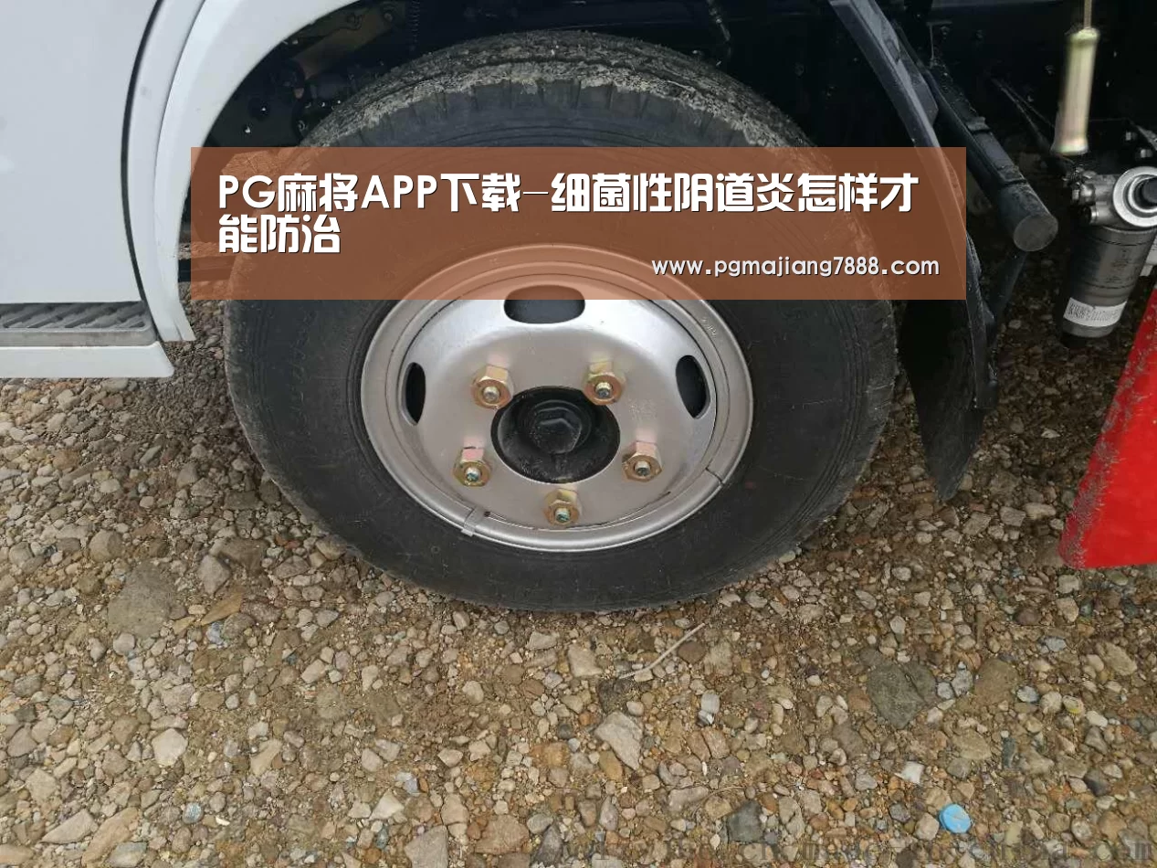 PG电子官网