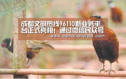 PG最新地址