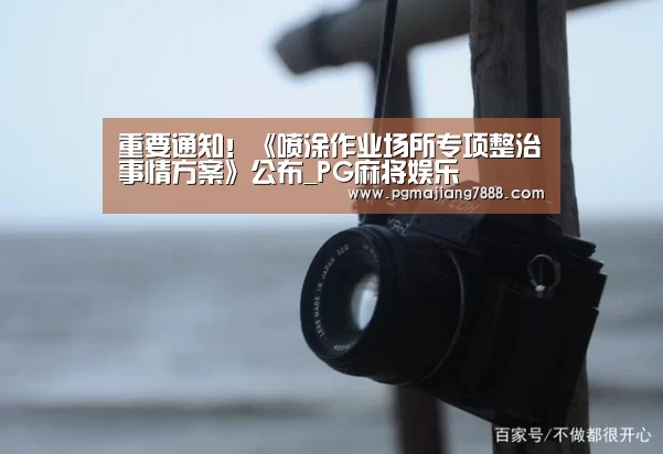 重要通知!《喷涂作业场所专项整治事情方案》公布_PG麻将娱乐(图2) PG最新地址