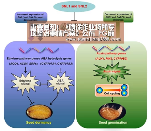 重要通知!《喷涂作业场所专项整治事情方案》公布_PG麻将娱乐(图4) PG麻将APP下载