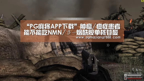 “PG麻将APP下载”肿瘤/癌症患者能不能吃NMN/β-烟酰胺单核苷酸?(图1) PG麻将APP下载