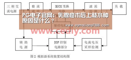 PG电子官网:乳腺癌术后上肢水肿原因是什么?(图4) PG电子官网