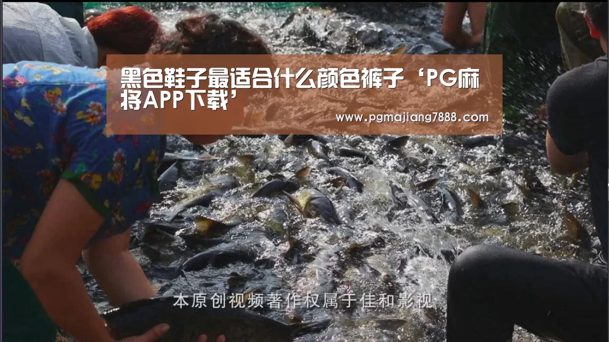 黑色鞋子最适合什么颜色裤子‘PG麻将APP下载’(图3) PG电子官网